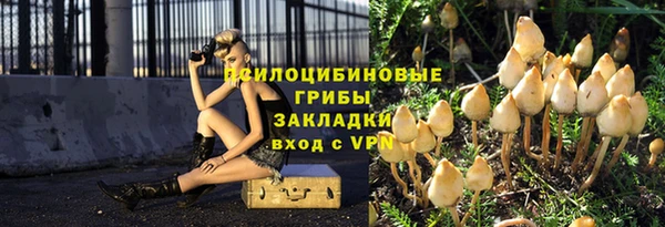 гидропоника Куйбышев