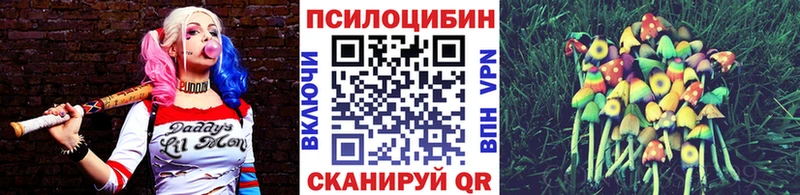 Купить  Бабаево  Галлюциногенные грибы Magic Shrooms 